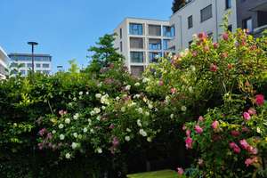 Erlanger Höfe: Lichtdurchflutete 4-Zimmer-Gartenwohnung im Herzen Erlangens – Die vollständige Adresse der Immobilie erhältst du vom Anbieter., 91052 Rathausplatz, Erlangen – Vorschaubild 12