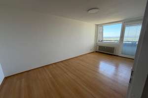 Wohnen mit Charakter: Großzügige 5-Zimmer-Wohnung in Heidelberg – Mombertplatz 31, 69126 Emmertsgrund, Heidelberg – Vorschaubild 17