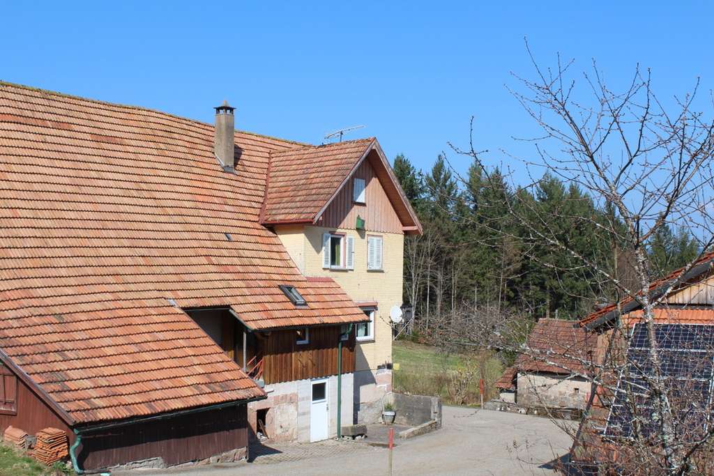 Immobilie in Baiersbronn - Renovierungsbedürftige Doppelhaushälfte mit Garage in Baiersbronn - Bild 0