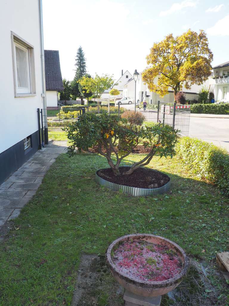 Immobilie in Muggensturm - Gepflegtes Einfamilienhaus mit Option zur Aufteilung in 2–3 Einheiten - Bild 1