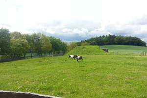 Nentershausen, Landhaus – Reichenberg 4, 36214 Nentershausen – Vorschaubild 10