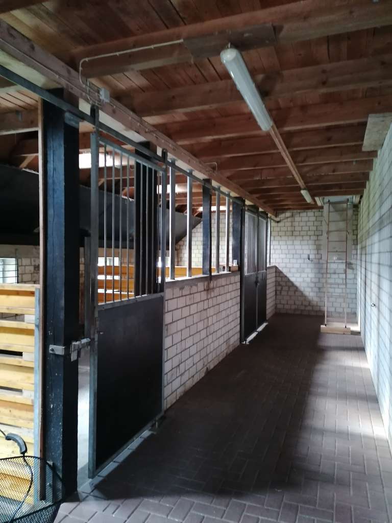 Immobilie in Barßel - Fehnhaus in idyllischer Kanallage auf 6.200m² Grundstück  - Bild 4