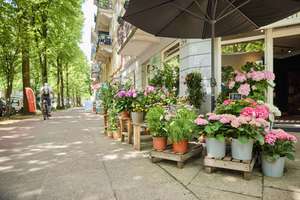 Vier Zimmer plus Garten in Eimsbüttel - Ein Zuhause, das den Alltag leichter macht – Die vollständige Adresse der Immobilie erhältst du vom Anbieter., 20257 Eimsbüttel (Ortsteil), Hamburg – Vorschaubild 21