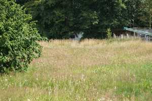 Gestaltbares Zuhause : EFH mit Garten, Garage und 4 Freistellplätzen mit Renovierungsbedarf – Osterholz (Kreis) – Vorschaubild 12