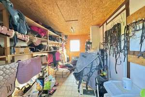 Traum-Gelegenheit! Modernisierter Pferdehof mit über 8.000 qm- Koppeln, Bürofläche &amp; vielen O... – Die vollständige Adresse der Immobilie erhältst du vom Anbieter., 51519 Odenthal – Vorschaubild 26
