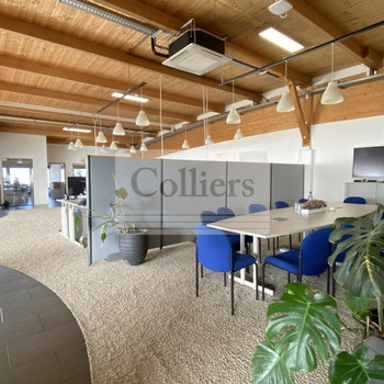 Einzigartiges Büro I Ausstellungsfläche I klimatisiert I Terrasse