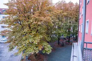 Property thumbnail 10