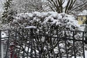 Property thumbnail 48