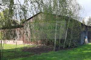 *Landhaus in ruhiger Lage und mit freiem Blick!* – Ostprignitz-Ruppin (Kreis) – Vorschaubild 19