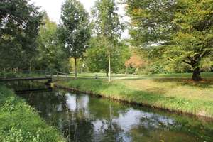 Ruhige Parklage -- 2-Zimmer-Wohnung