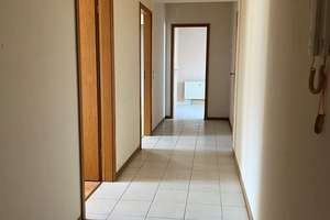 Attraktive 2-Raum-Dachgeschosswohnung in Leipzig-Gohlis – Lindenthaler Straße 43, 4155 Gohlis-Süd, Leipzig – Vorschaubild 4
