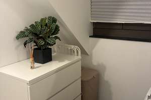 Helle Dachgeschosswohnung in super zentraler & trotzdem ruhiger Lage – Die vollständige Adresse der Immobilie erhältst du vom Anbieter., 55116 Altstadt, Mainz – Vorschaubild 8