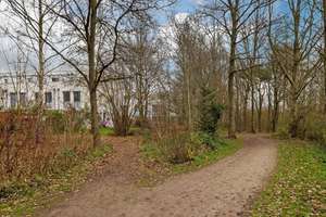 Property thumbnail 14