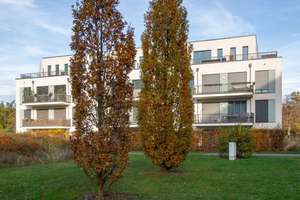 Property thumbnail 10