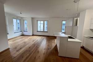 Exklusive Lage am Main - "WIESENHÜTTENHÖFE"