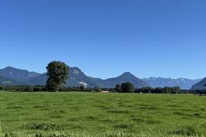 * Natur PUR & RUHE *   Vierfamilienhaus mit überzeugender Rendite sucht neuen Besitzer – Die vollständige Adresse der Immobilie erhältst du vom Anbieter., 83064 Raubling – Vorschaubild 18