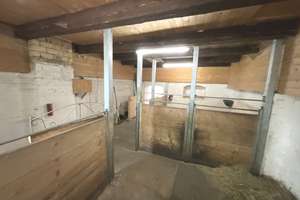 Bauernhaus bei Homberg/Efze: 260 m² Wohnfläche, Scheune und Stallungen warten auf Sie! – Die vollständige Adresse der Immobilie erhältst du vom Anbieter., 34576 Homberg (Efze) – Vorschaubild 6