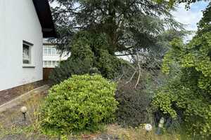 Geräumiges Einfamilienhaus mit großem Gartengrundstück – Hasenheide 6, 55442 Bad Kreuznach (Kreis) – Vorschaubild 15