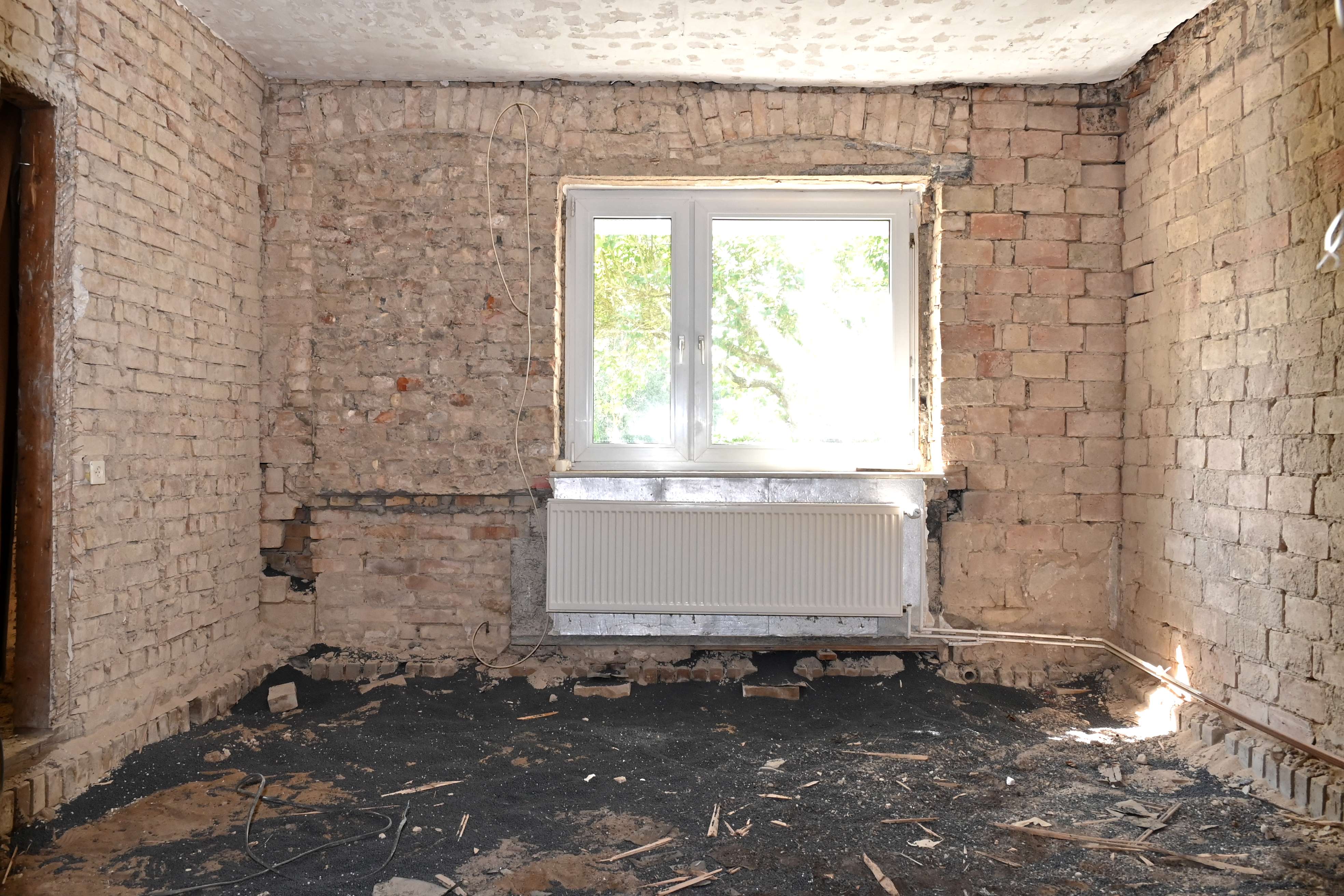 Immobilie in Zarrendorf - Einfamilienhaus in Zarrendorf mit großem Potential - Bild 2