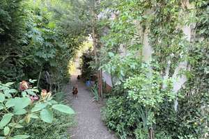 Charmantes Reihenendhaus mit großzügigem Garten – Die vollständige Adresse der Immobilie erhältst du vom Anbieter., 64297 Eberstadt, Darmstadt – Vorschaubild 8