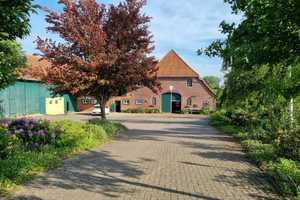 Charmantes Landhaus mit großem Grundstück und Bebauungsmöglichkeit in ruhiger Südlage – Diepholz (Kreis) – Vorschaubild 1
