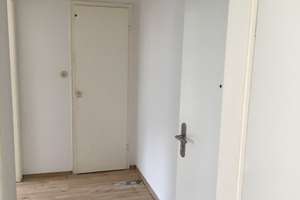 Geräumige, renovierte 1-Zimmer-Wohnung zur Miete in Wuppertal – Friedrich-Ebert-Straße 222, 42117 Elberfeld West, Wuppertal – Vorschaubild 2