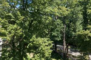 Property thumbnail 22