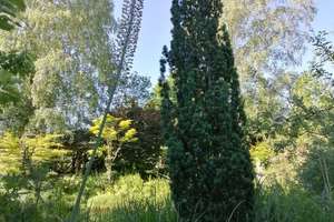 Einfamilienhaus mit ELW 255qm mit 3966qm Garten, EKl A+, Bj 2013 – Die vollständige Adresse der Immobilie erhältst du vom Anbieter., 72178 Waldachtal – Vorschaubild 54