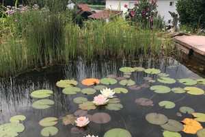 Stadtvilla mit herrlichem Mainblick – Main-Spessart (Kreis) – Vorschaubild 5