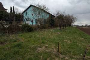 Freistehendes Haus in ruhiger Naturlage – ab sofort verfügbar – Die vollständige Adresse der Immobilie erhältst du vom Anbieter., 74248 Ellhofen – Vorschaubild 3