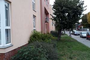 Property thumbnail 14