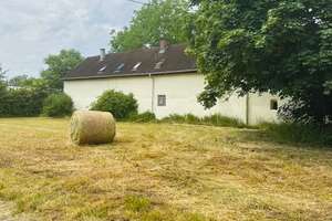 *Mehrfamilienhaus mit 4 Wohneinheiten in einzigartiger Lage zwischen zwei Naturschutzflächen* – Die vollständige Adresse der Immobilie erhältst du vom Anbieter., 76199 Rüppurr, Karlsruhe – Vorschaubild 2