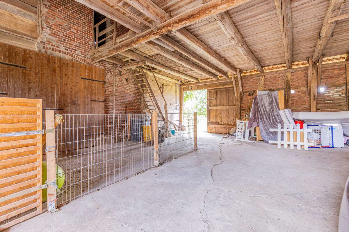 Immobilie in Halle - Schönes Bauernhaus mit Scheune, Remise und Nebengelass – Bremke - Bild 9