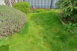 3-Raum-EG-Wohnung m. Wintergarten, Terrasse, Garten, NSP-Hzg. in ruhiger Lage, gern  an Einzelperson – Die vollständige Adresse der Immobilie erhältst du vom Anbieter., 45145 Frohnhausen, Essen – Vorschaubild 6