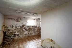 Maxdorf – Freistehendes Einfamilienhaus mit großem Potenzial – Sanierung oder Abriss möglich – Weisenheimer Straße 24, 67133 Rhein-Pfalz-Kreis – Vorschaubild 39