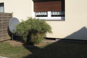 Gepflegte 1,5-Zimmerwohnung mit kleinem Gartenbereich zur Alleinnutzung