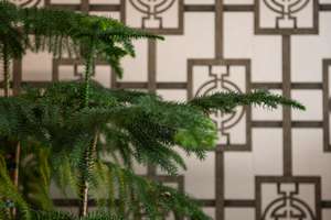 Property thumbnail 43