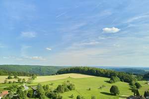 Naturnah in attraktiver Lage: Gepflegtes Ein- bis Zweifamilienhaus mit ansprechendem Außenbereich – Die vollständige Adresse der Immobilie erhältst du vom Anbieter., 69239 Neckarsteinach – Vorschaubild 16