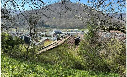 Idylle über der Stadt – Großzügiges 1-2 Familienhaus in ruhiger Halbhöhenlage