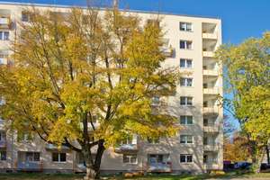 Mein Zuhause in Essen – Hochfeldstr. 154, 45307 Leithe, Essen – Vorschaubild 1