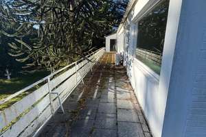Wohnen im Alten Hahnwald | Einfamilienhaus mit Garten und großer Dachterrasse – Die vollständige Adresse der Immobilie erhältst du vom Anbieter., 50996 Hahnwald, Köln – Vorschaubild 16