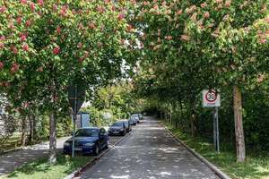 Property thumbnail 36