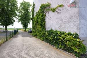 GEMÜTLICHE, HELLE 2-RWG IM 2.OG MIT TAGESLICHTBAD U. ABSTELLRAUM IM BELIEBTEN LEIPZIG-LINDENTHAL – Landsbergerstraße 150, 4158 Lindenthal, Leipzig – Vorschaubild 3