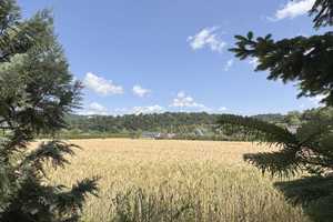 RESERVIERT - Naturnah und stadtnah zugleich – Reihenmittelhaus mit Balkon in Rotenburg – Hersfeld-Rotenburg (Kreis) – Vorschaubild 10