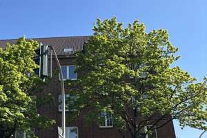 Zentral gelegene 3,5 Zimmer in Gelsenkirchen!
