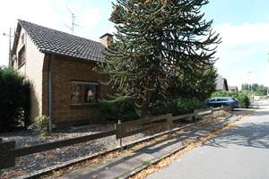 Freistehendes Ein- oder Zweifamilienhaus in ruhiger Seitenstraße nahe am Rhein – Hooger Geest 30, 47533 Kleve – Vorschaubild 47