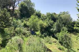 Seminarhaus mit traumhaften Belchenblick: 2-Familienhaus mit grossem Garten in Elbenschwand – Elbenschwander Ortsstraße 9, 79692 Lörrach (Kreis) – Vorschaubild 16