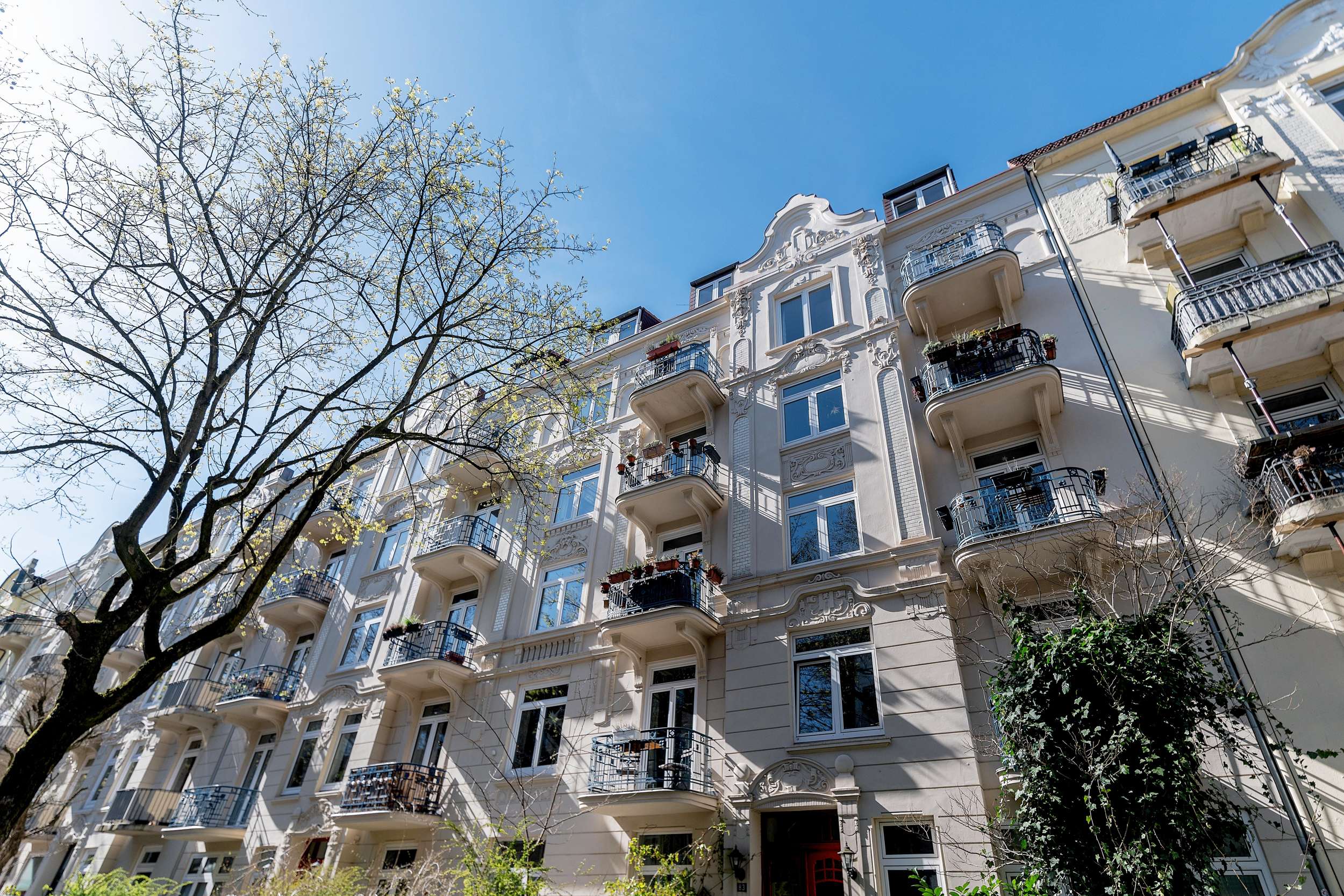 Willkommen im Dschungel-Nest! - Heußweg 83・Eimsbüttel, Hamburg – Bild 4