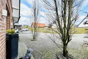 Charmantes Einfamilienhaus im Sylter Stil mit kleiner Gewerbefläche – Gütersloh (Kreis) – Vorschaubild 8