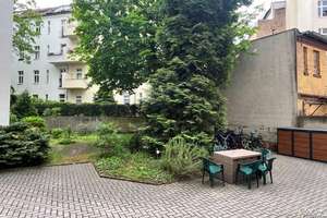 hell und ruhig im Gartenhaus – Konradinstraße 4, 12105 Tempelhof, Berlin – Vorschaubild 4